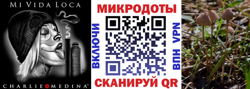 OMG маркетплейс  маркетплейс официальный сайт  Сибай  Галлюциногенные грибы GOLDEN TEACHER  сколько стоит 