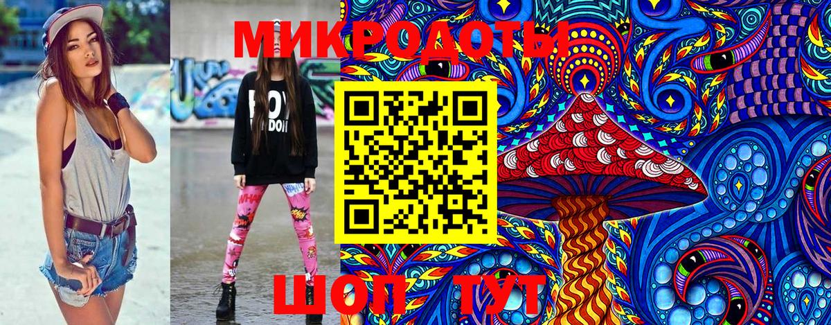 Псилоцибиновые грибы Psilocybe Сибай