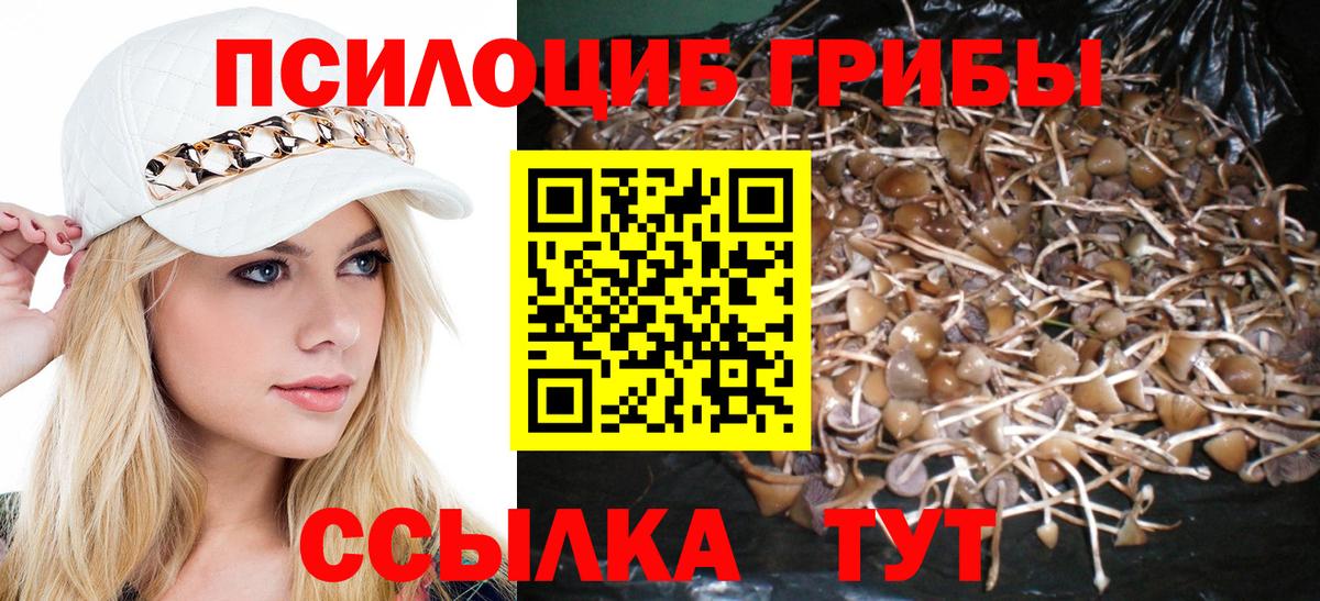 закладка  Псилоцибиновые грибы мухоморы  Вход с VPN  Сибай 